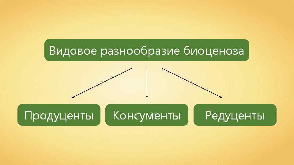 Естественный или искусственный биоценоз изображен на рисунке