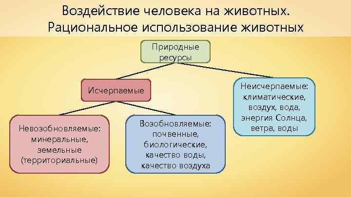 Воздействие человека на животных. Рациональное использование животных Природные ресурсы Исчерпаемые Невозобновляемые: минеральные, земельные (территориальные)