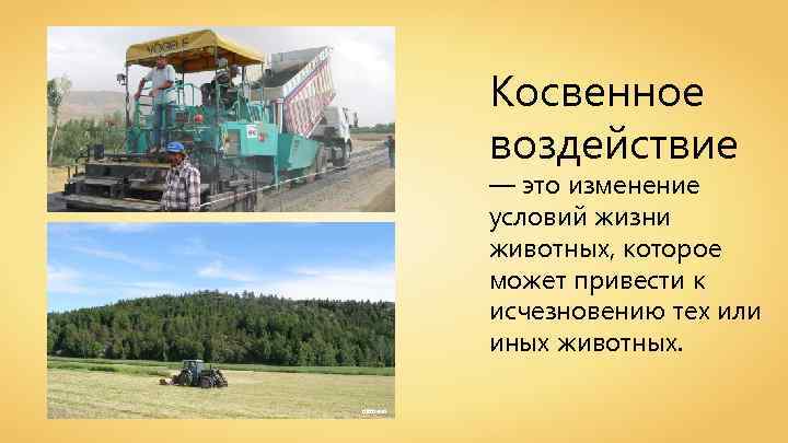 Косвенное воздействие — это изменение условий жизни животных, которое может привести к исчезновению тех