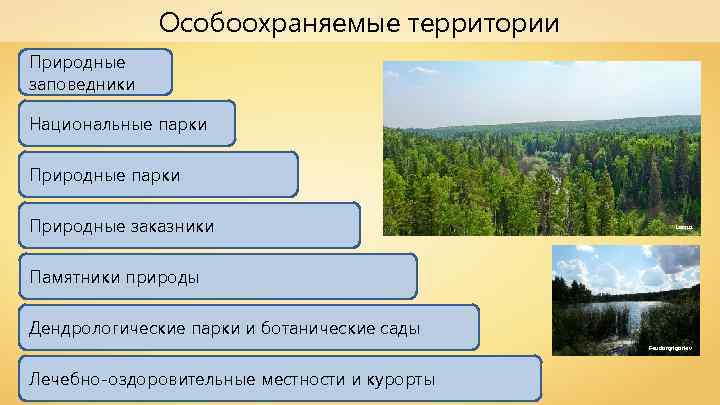 Особоохраняемые территории Природные заповедники Национальные парки Природные заказники Lacrus Памятники природы Дендрологические парки и