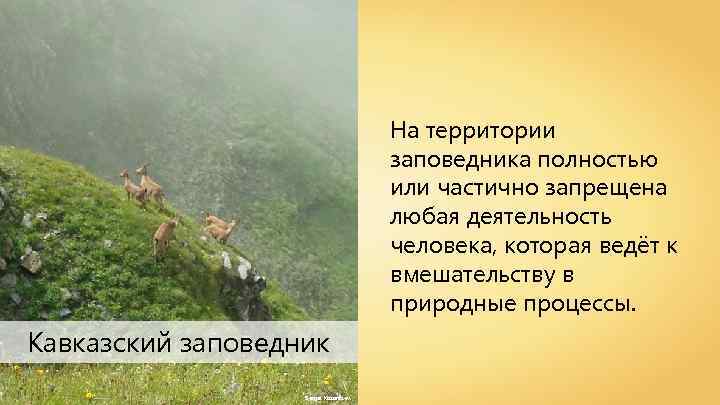 На территории заповедника полностью или частично запрещена любая деятельность человека, которая ведёт к вмешательству