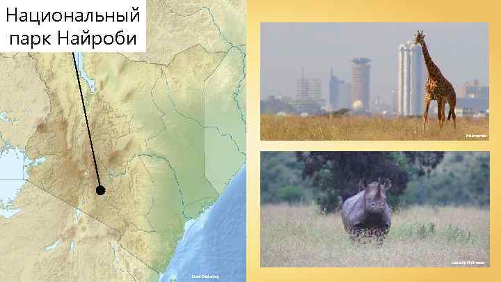 Национальный парк Найроби Mkimemia Ludovic Hirlimann Uwe Dedering 