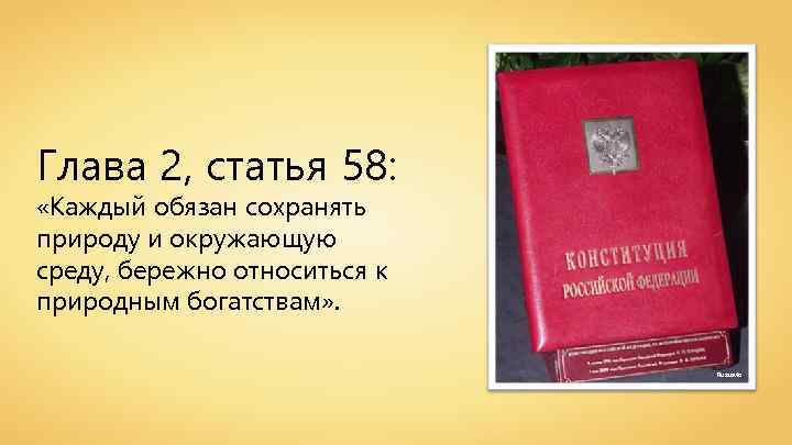 Глава 2, статья 58: «Каждый обязан сохранять природу и окружающую среду, бережно относиться к