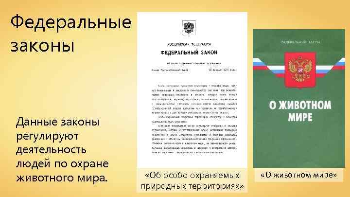 Федеральные законы Данные законы регулируют деятельность людей по охране животного мира. «Об особо охраняемых