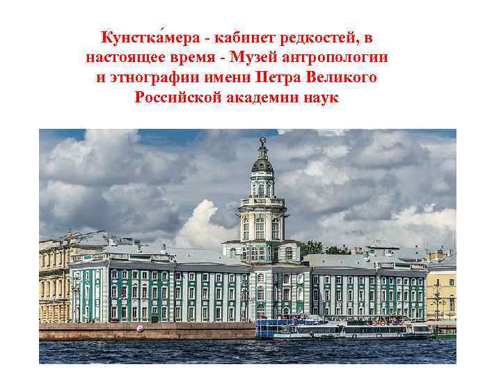 Кунстка мера - кабинет редкостей, в настоящее время - Музей антропологии и этнографии имени