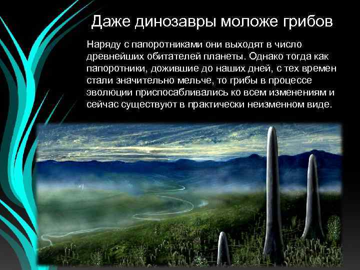 Даже динозавры моложе грибов Наряду с папоротниками они выходят в число древнейших обитателей планеты.