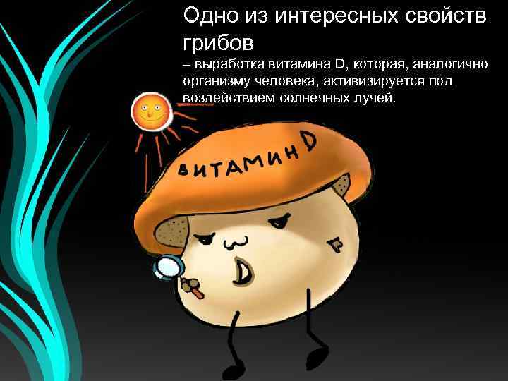 Одно из интересных свойств грибов – выработка витамина D, которая, аналогично организму человека, активизируется