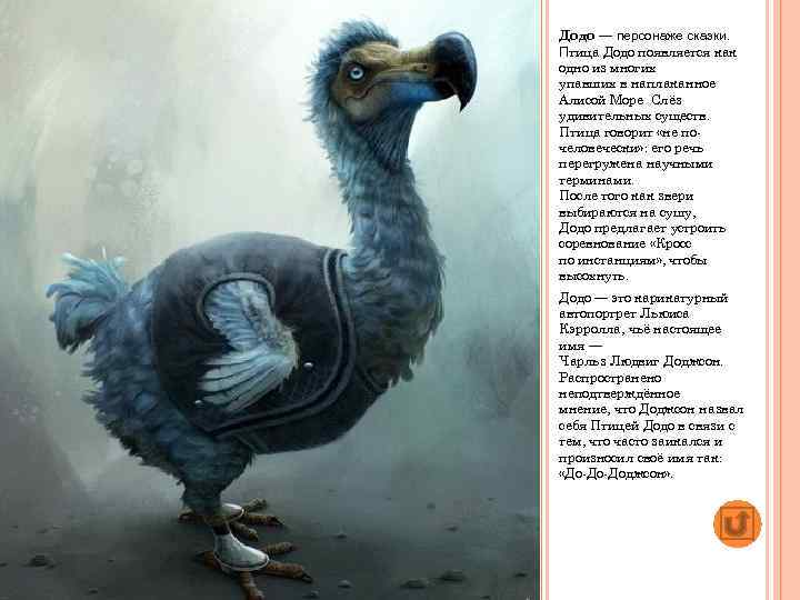 Додо — персонаже сказки. Птица Додо появляется как одно из многих упавших в наплаканное
