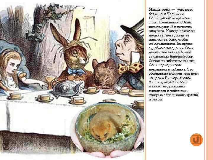 Мышь-соня — участник безумного Чаепития. Большую часть времени спит; Болванщик и Заяц используют её