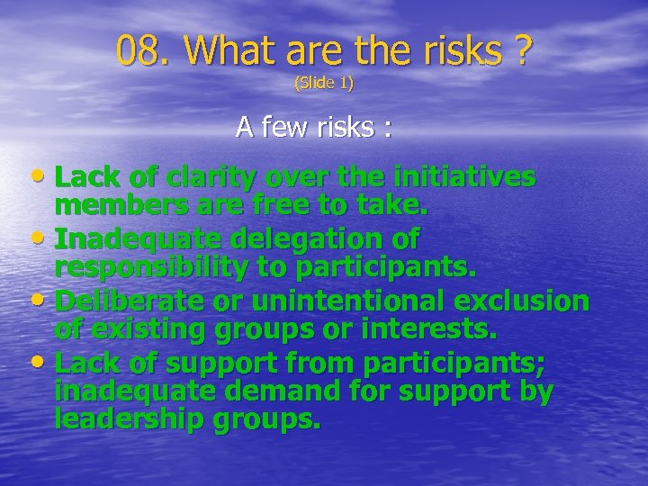08. What are the risks ? (Slide 1) A few risks : • Lack