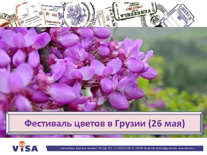Фестиваль цветов в Грузии (26 мая) 