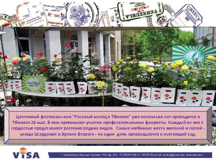 Цветочный фестиваль или 