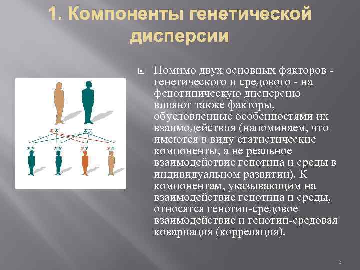1. Компоненты генетической дисперсии Помимо двух основных факторов генетического и средового - на фенотипическую
