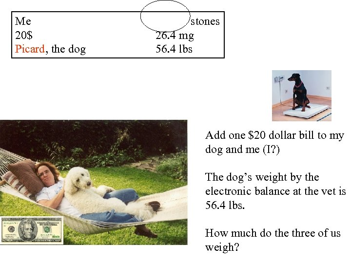 Me 20$ Picard, the dog stones 26. 4 mg 56. 4 lbs Add one