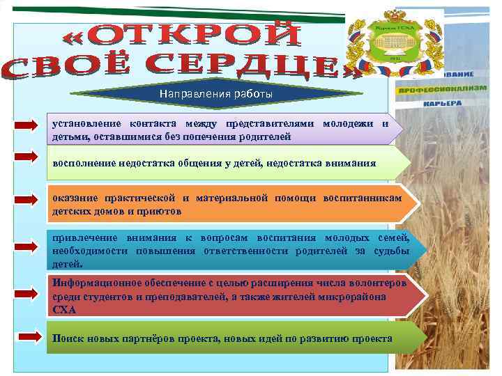 Направления работы установление контакта между представителями молодежи и детьми, оставшимися без попечения родителей восполнение