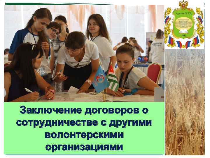 Заключение договоров о сотрудничестве с другими волонтерскими организациями 