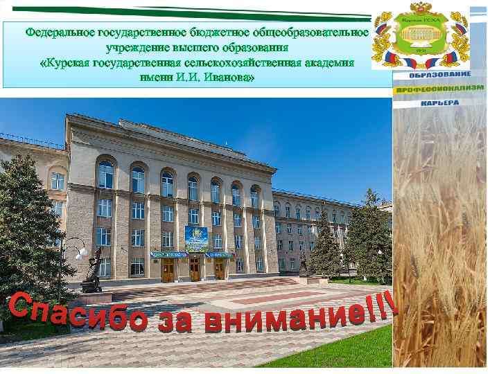 Федеральное государственное бюджетное общеобразовательное учреждение высшего образования «Курская государственная сельскохозяйственная академия имени И. И.