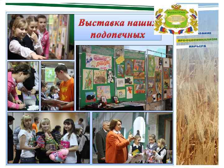 Выставка наших подопечных 