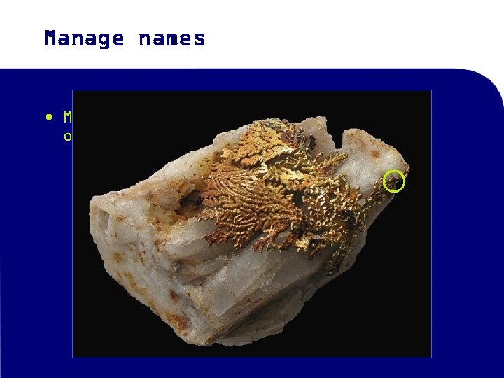 Manage names • Manage name changes (classification or determination) 