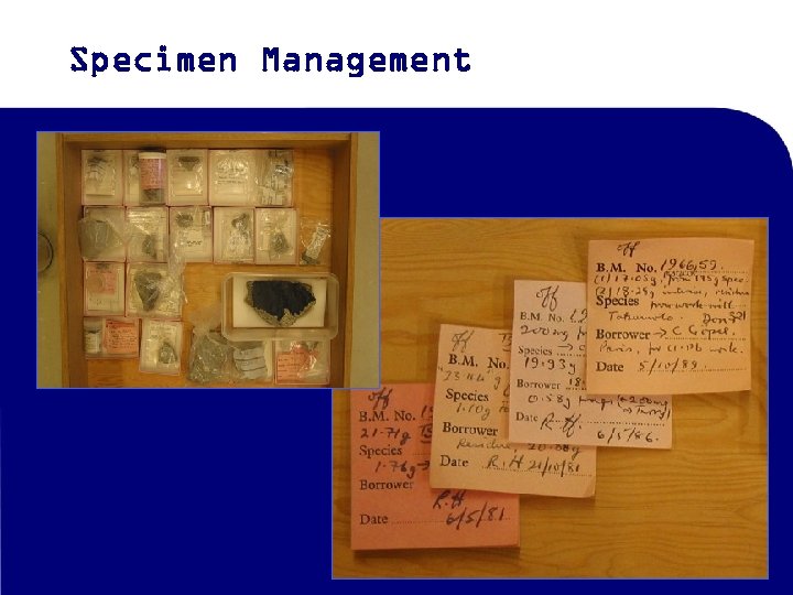 Specimen Management 
