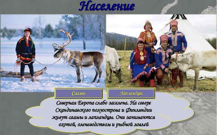 Население Саамы Лапландцы Северная Европа слабо заселена. На севере Скандинавского полуострова и Финляндии живут