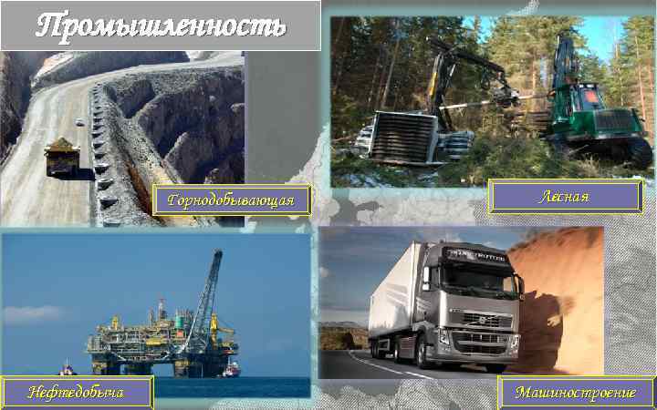 Промышленность Горнодобывающая Нефтедобыча Лесная Машиностроение 