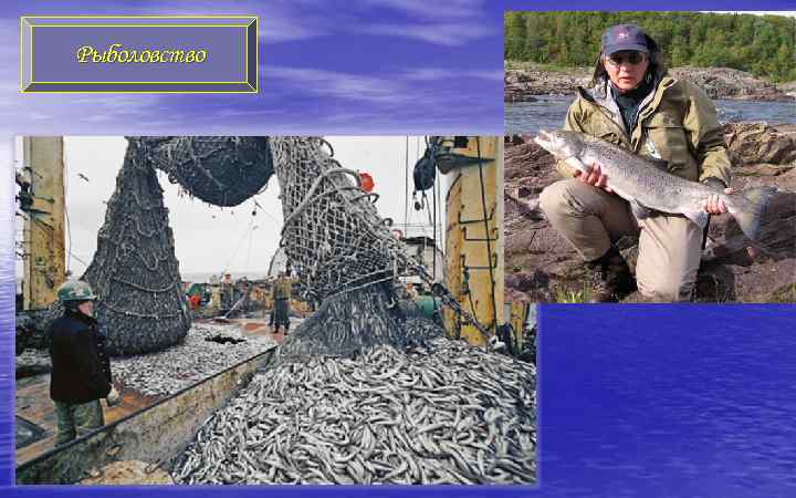 Рыболовство 
