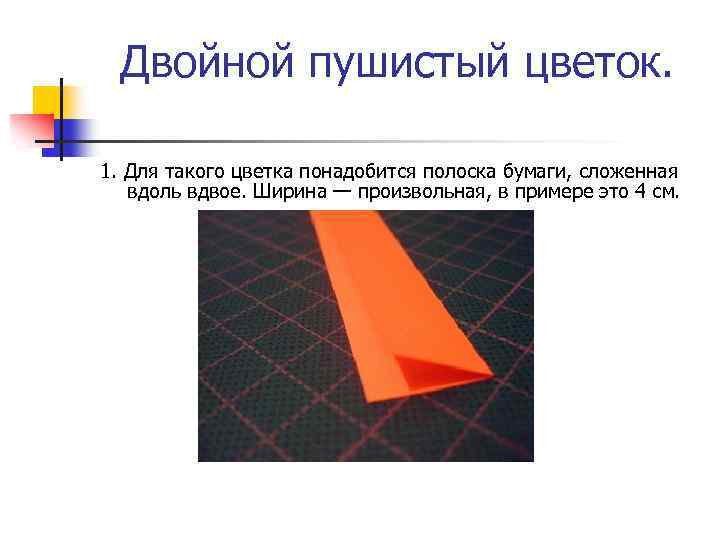 Двойной пушистый цветок. 1. Для такого цветка понадобится полоска бумаги, сложенная вдоль вдвое. Ширина