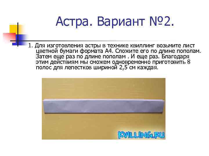 Астра. Вариант № 2. 1. Для изготовления астры в технике квиллинг возьмите лист цветной