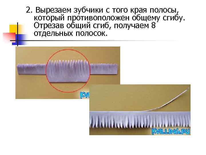 2. Вырезаем зубчики с того края полосы, который противоположен общему сгибу. Отрезав общий сгиб,