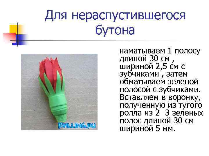 Для нераспустившегося бутона наматываем 1 полосу длиной 30 см , шириной 2, 5 см