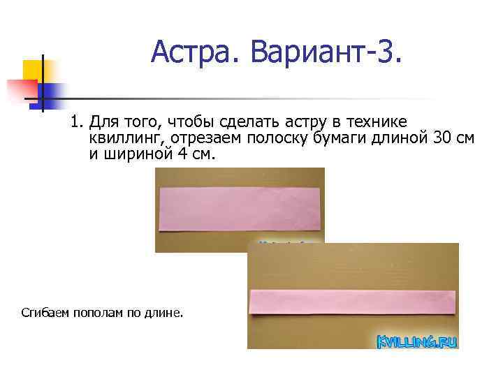 Астра. Вариант-3. 1. Для того, чтобы сделать астру в технике квиллинг, отрезаем полоску бумаги