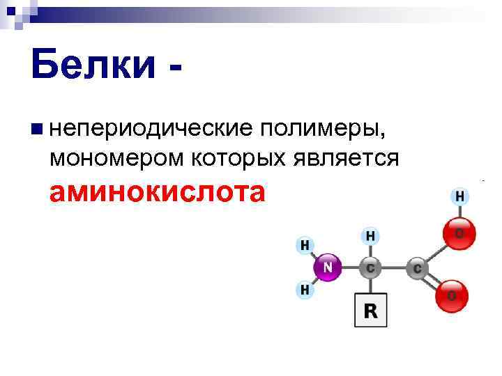 Мономерами белков являются