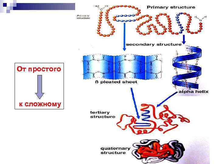 От простого к сложному 