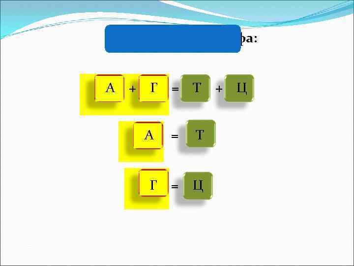 Правила Чаргаффа: А + Г = Т А = Т Г = Ц +