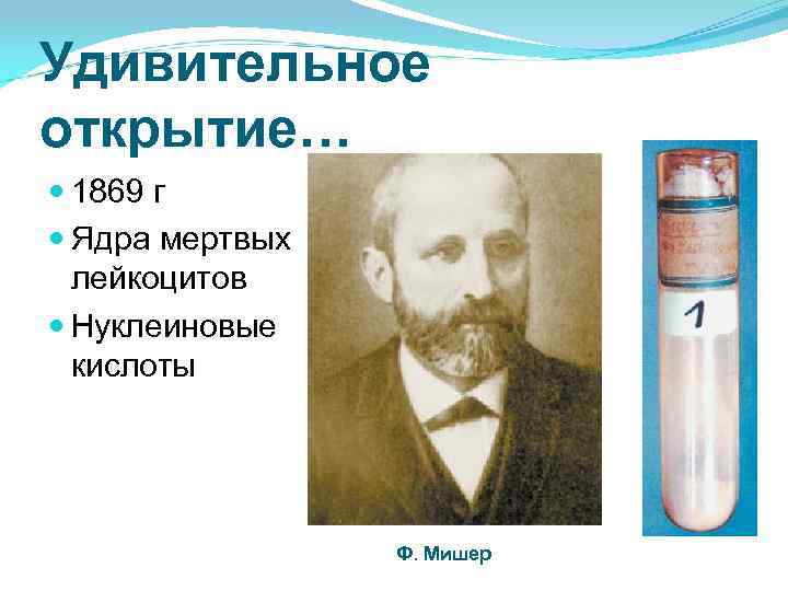 Удивительное открытие… 1869 г Ядра мертвых лейкоцитов Нуклеиновые кислоты Ф. Мишер 