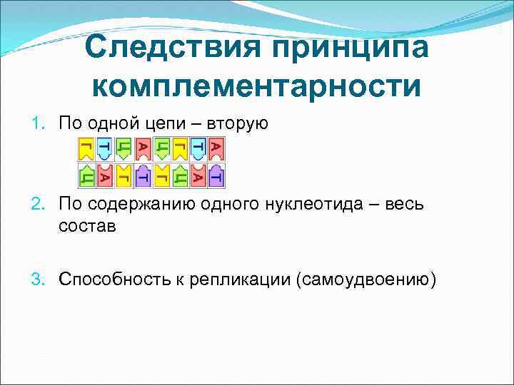 Следствия принципа комплементарности 1. По одной цепи – вторую 2. По содержанию одного нуклеотида