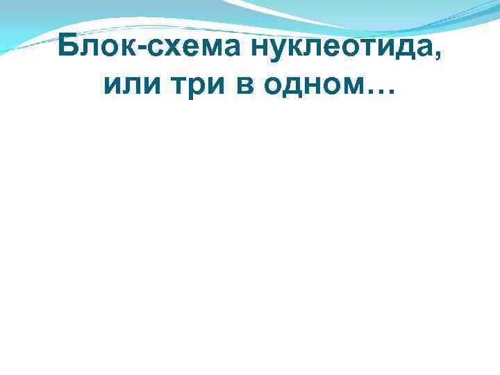 Блок-схема нуклеотида, или три в одном… 