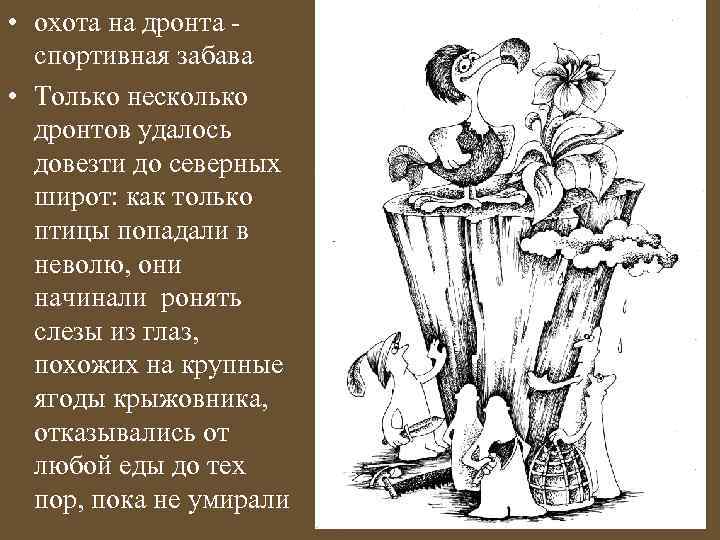  • охота на дронта - спортивная забава • Только несколько дронтов удалось довезти