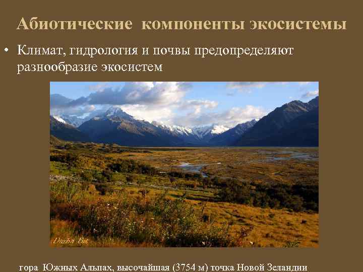 Абиотические компоненты экосистемы • Климат, гидрология и почвы предопределяют разнообразие экосистем гора Южных Альпах,