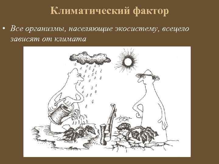 Климатический фактор • Все организмы, населяющие экосистему, всецело зависят от климата 