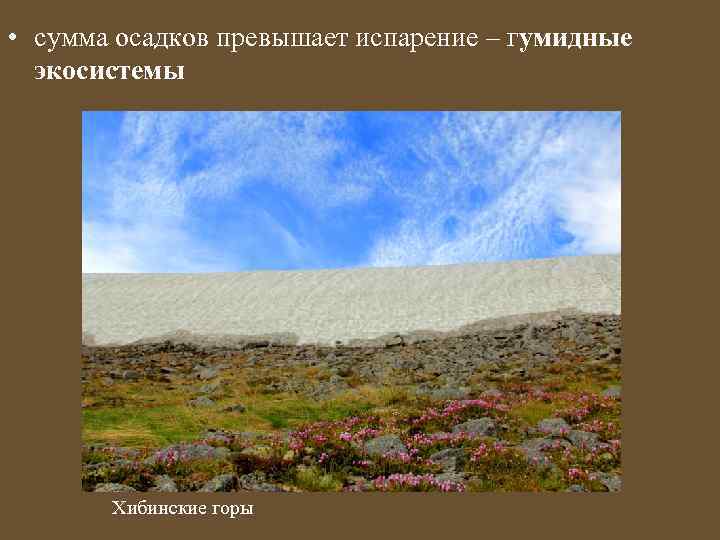  • сумма осадков превышает испарение – гумидные экосистемы Хибинские горы 