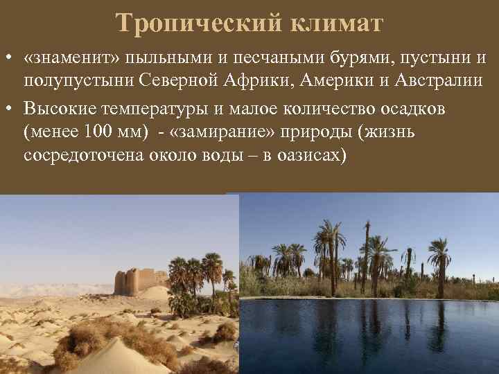 Тропический климат • «знаменит» пыльными и песчаными бурями, пустыни и полупустыни Северной Африки, Америки