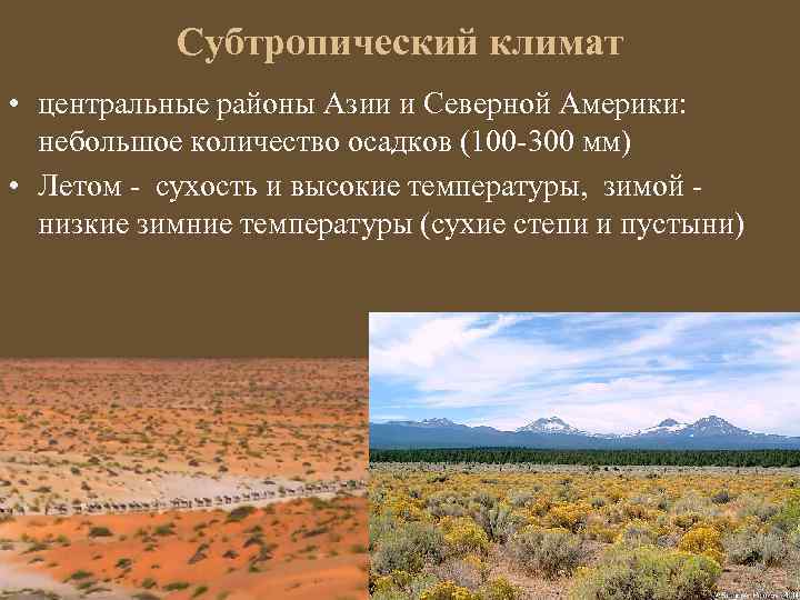 Субтропический климат • центральные районы Азии и Северной Америки: небольшое количество осадков (100 -300