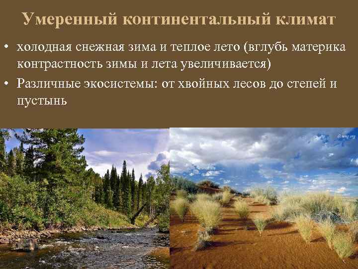 Умеренный континентальный климат • холодная снежная зима и теплое лето (вглубь материка контрастность зимы