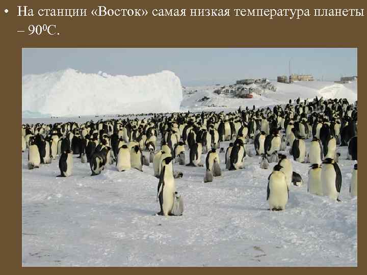  • На станции «Восток» самая низкая температура планеты – 900 С. 
