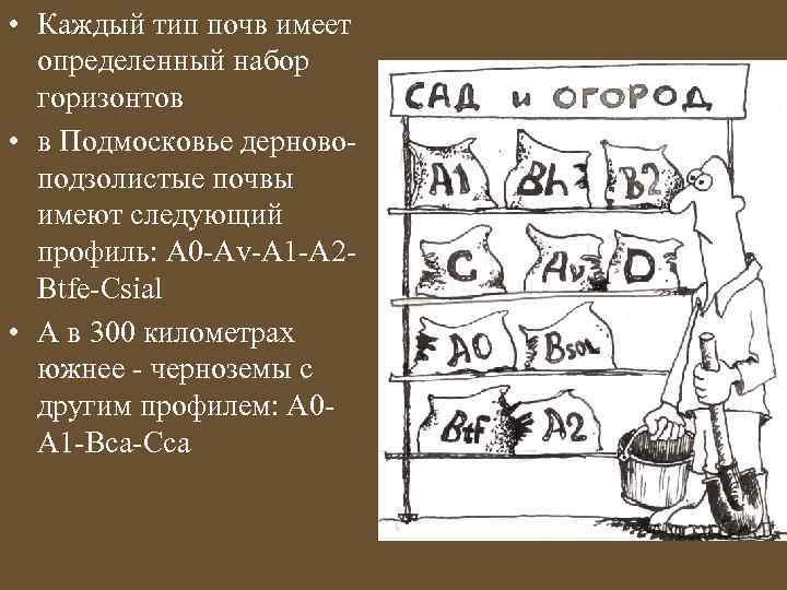  • Каждый тип почв имеет определенный набор горизонтов • в Подмосковье дерновоподзолистые почвы