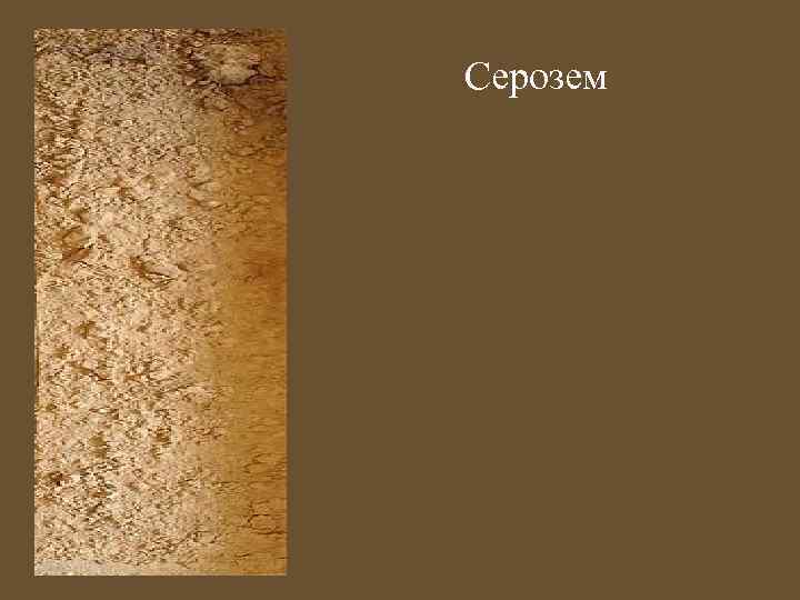 Серозем 