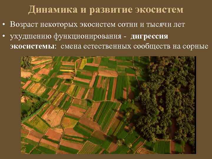 Динамика и развитие экосистем • Возраст некоторых экосистем сотни и тысячи лет • ухудшению