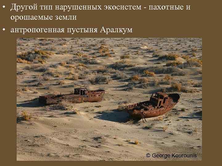  • Другой тип нарушенных экосистем - пахотные и орошаемые земли • антропогенная пустыня